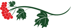 logo_half logo_half