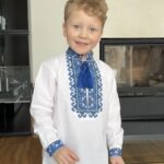 Комір-стійка і синя вишивка