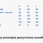 Розмірна сітка жіночої вишиванки